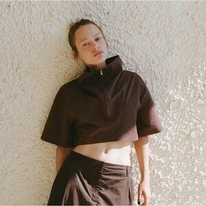 Zara Dark Brown Crop Top